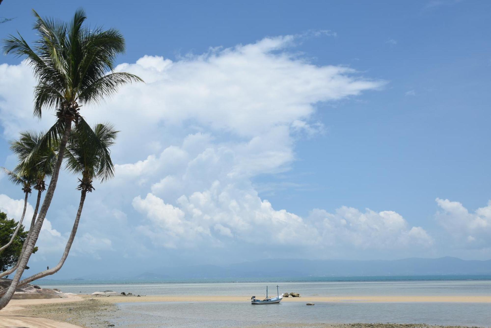Blue Lotus Resort Baan Tai Extérieur photo