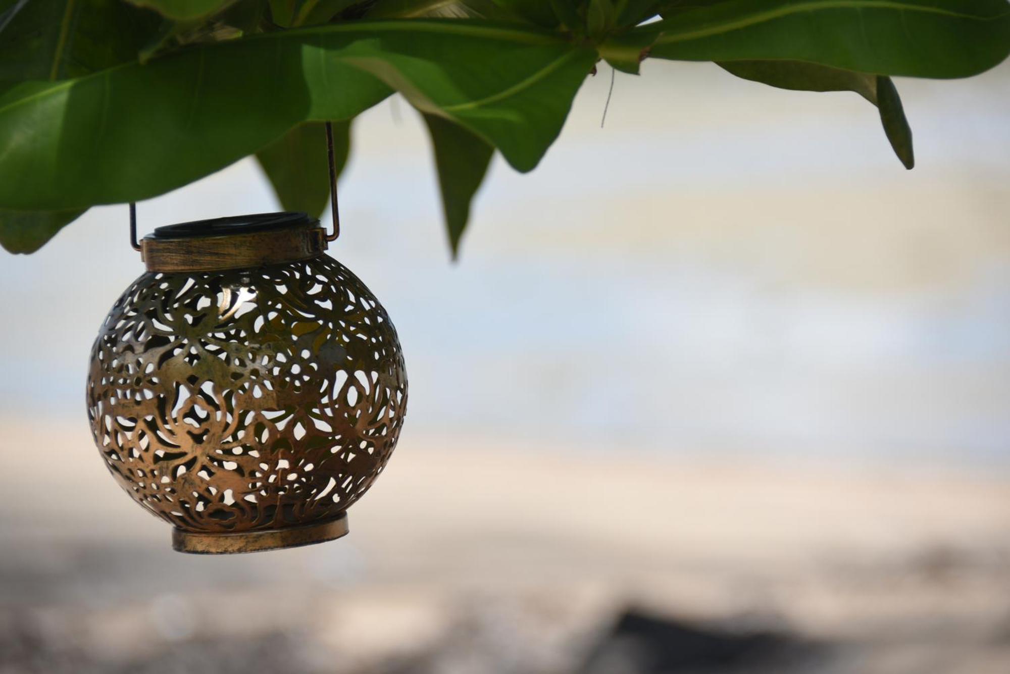 Blue Lotus Resort Baan Tai Extérieur photo